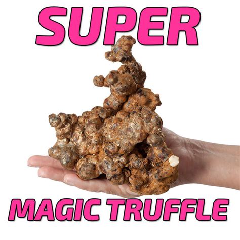 But magic truffles onlind